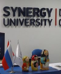SYNERGY UNIVERSITY