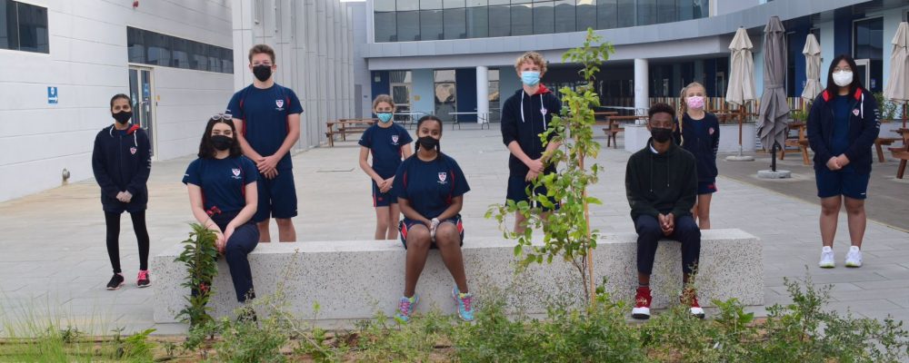 Dwight School Dubai Students Create And Execute Sustainable Tree Planting Drive On Campus, Using Dake Rechsand’s Breathable Sand
