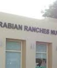 Arabian Ranches Nursery