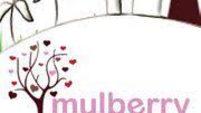 Mulberry Tree Montessori Nursery