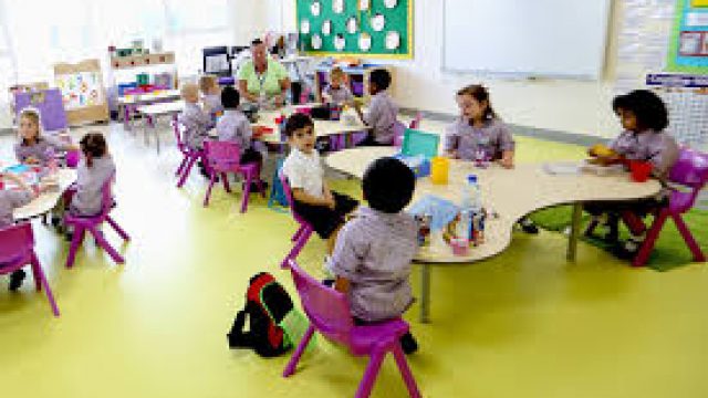 New Safa Nursery