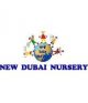 New Dubai Nursery