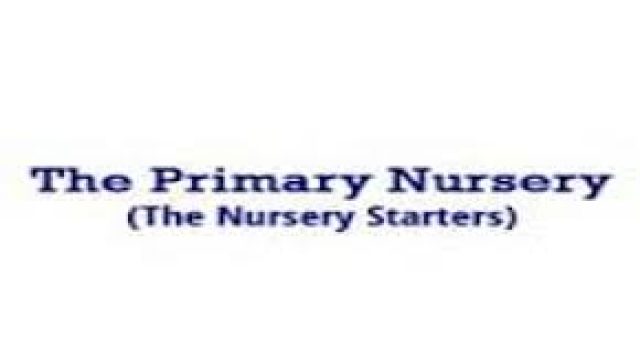 The Primary Nursery